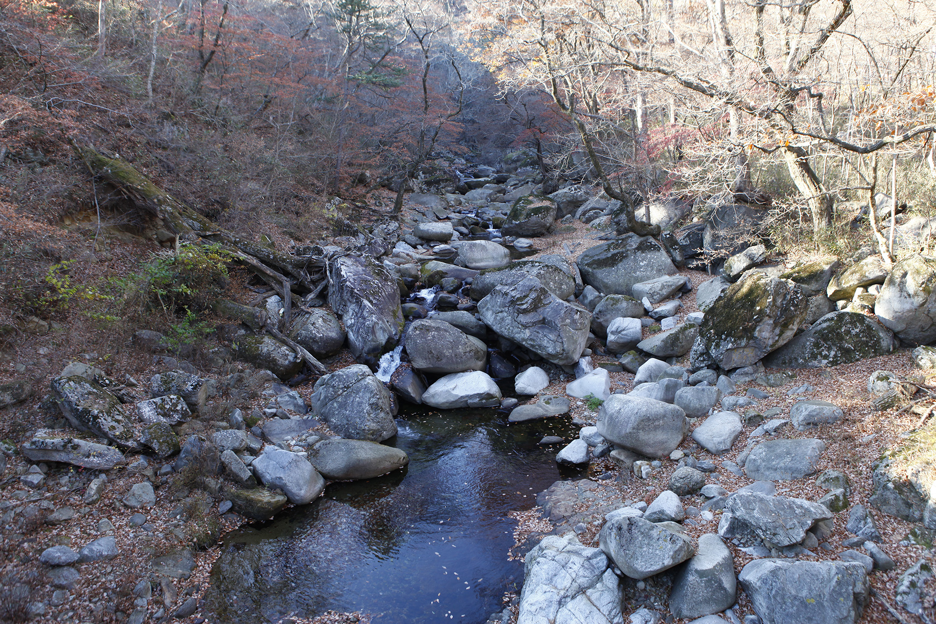 홍류동계곡